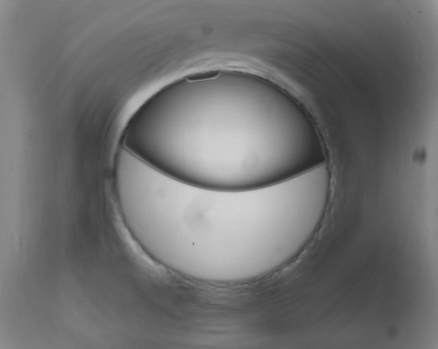 X0000112971520200908270931