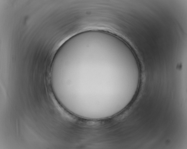 X0000112971521200908270931