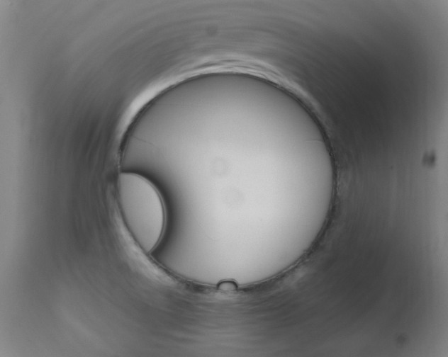 X0000112971522200908270931