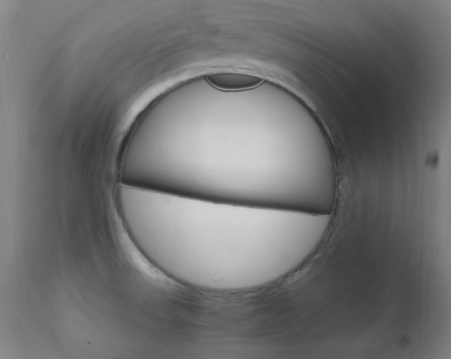 X0000112971523200908270931