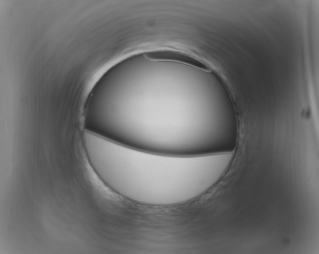 X0000112971524200908270931