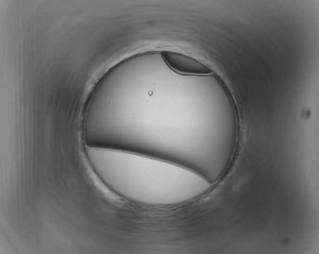 X0000112971525200908270931