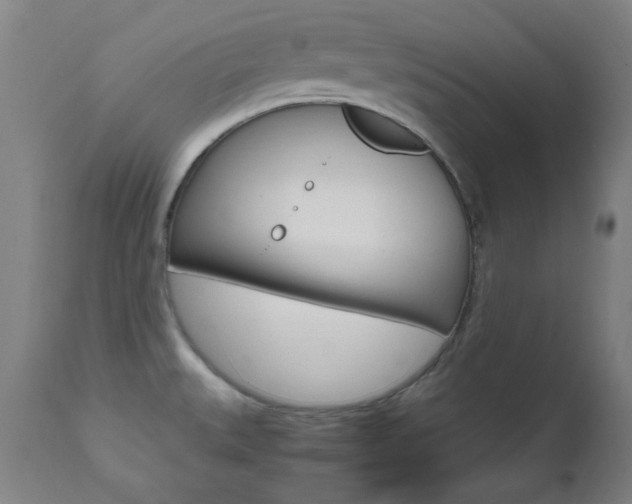 X0000112971527200908270931
