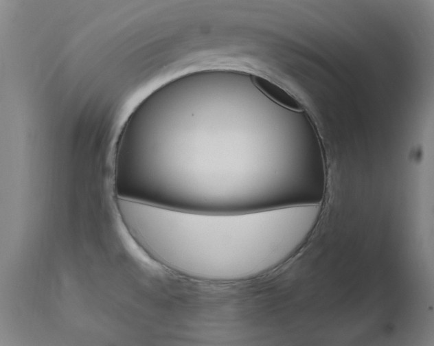 X0000112971528200908270931