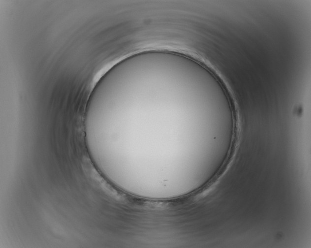 X0000112971529200908270931