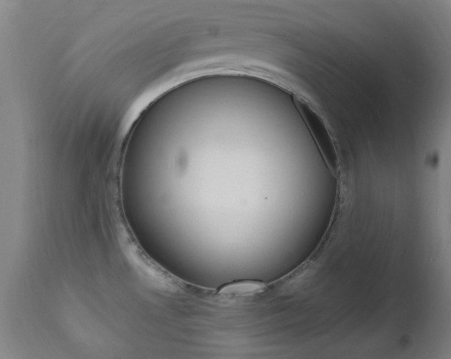 X0000112971530200908270931
