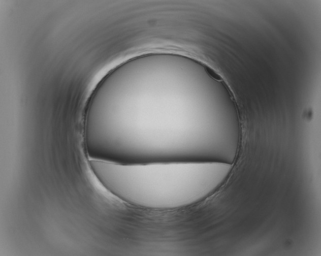X0000112971531200908270931