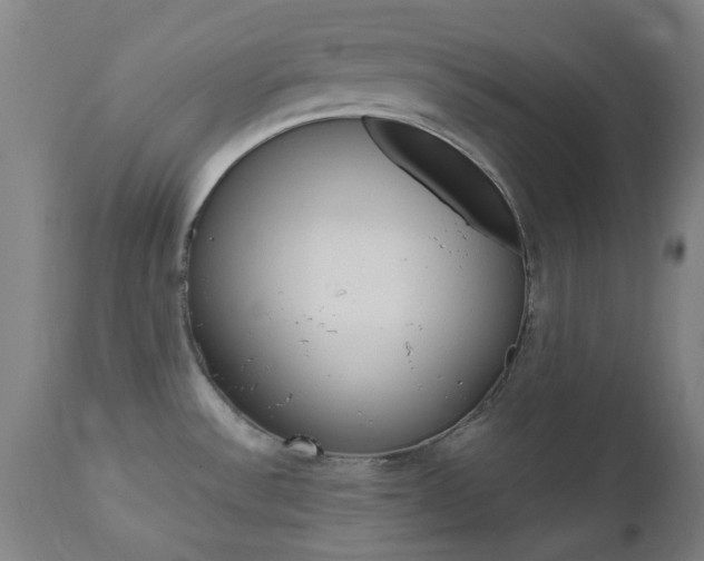 X0000112971532200908270931