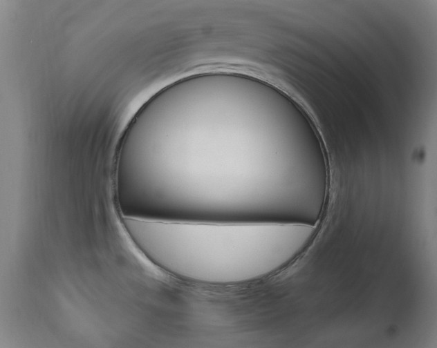 X0000112971533200908270931