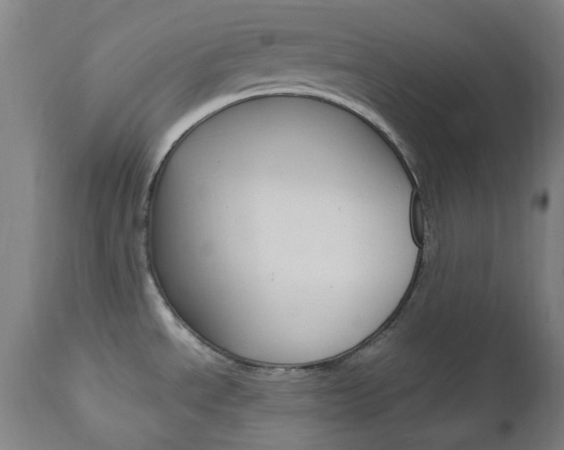 X0000112971534200908270931