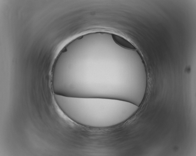 X0000112971535200908270931