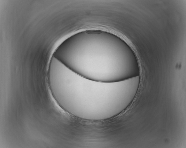 X0000112971536200908270931