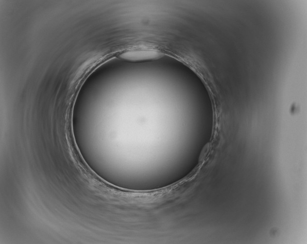 X0000112970001200908271153