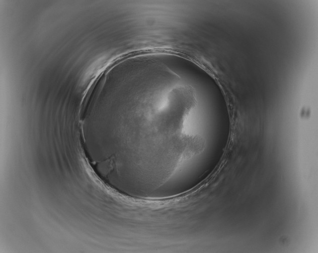 X0000112970002200908271153