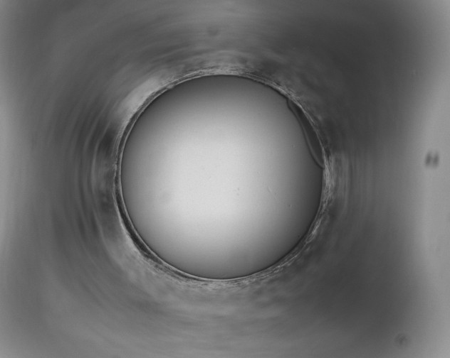 X0000112970003200908271153