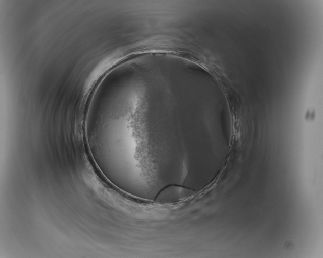 X0000112970004200908271153