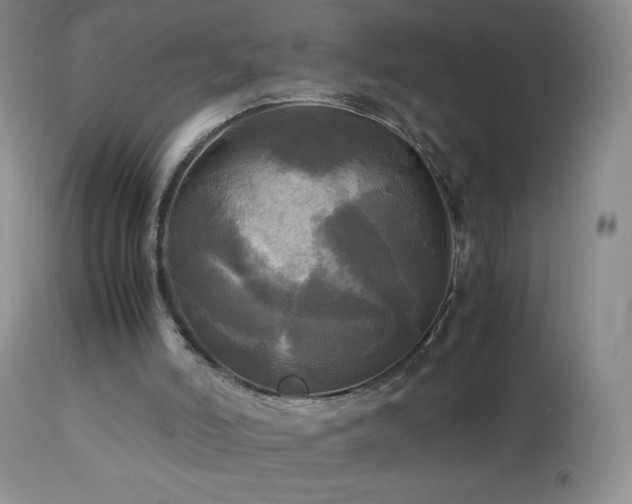 X0000112970006200908271153