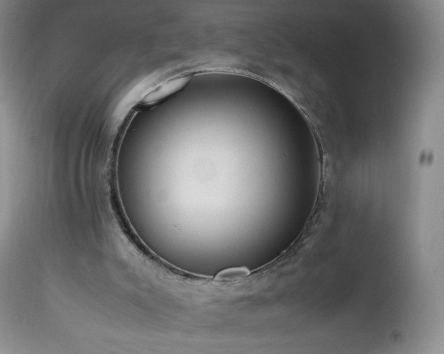 X0000112970007200908271153