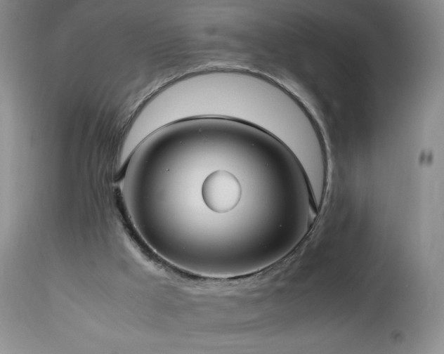 X0000112970009200908271153