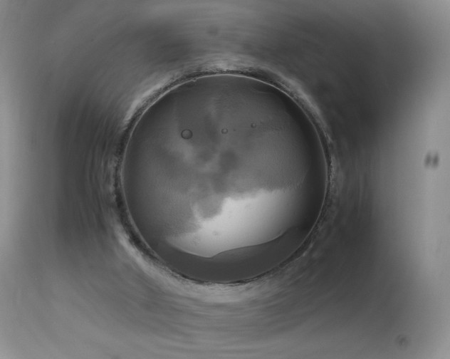 X0000112970010200908271153