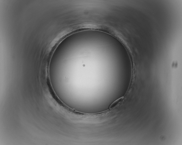 X0000112970011200908271153