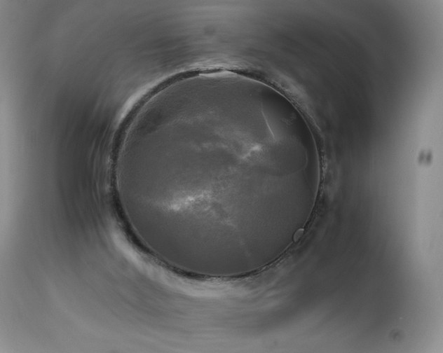 X0000112970012200908271153