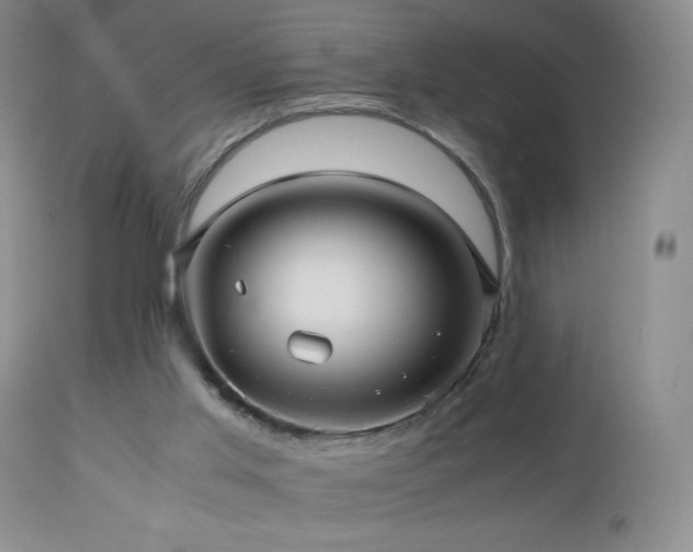 X0000112970013200908271153