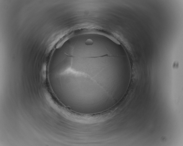 X0000112970014200908271153