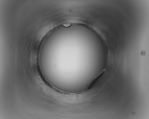 X0000112970015200908271153