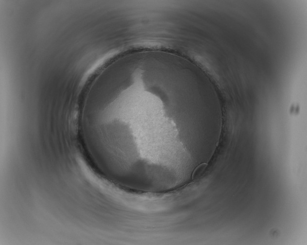 X0000112970016200908271153