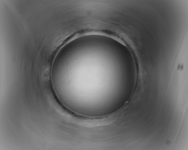 X0000112970017200908271153