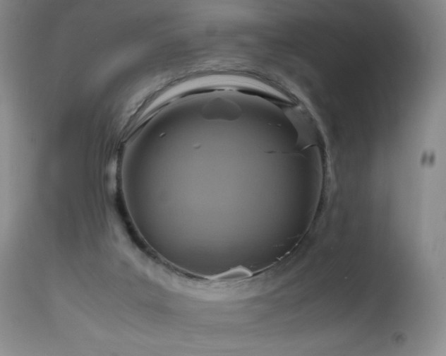 X0000112970019200908271153