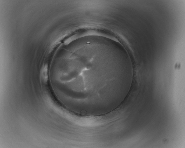 X0000112970020200908271153