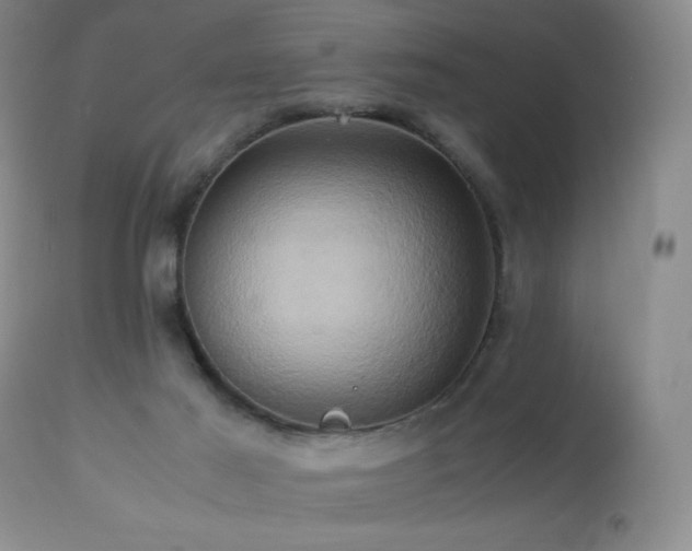 X0000112970021200908271153