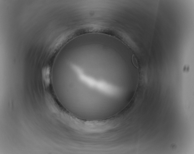 X0000112970022200908271153