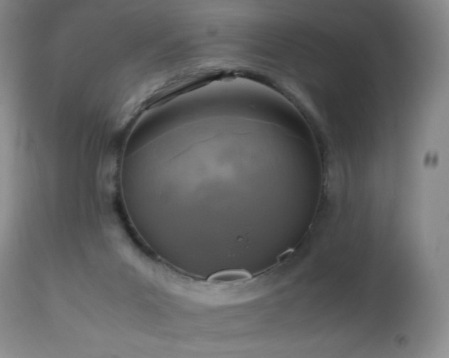 X0000112970023200908271153