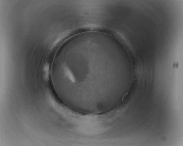 X0000112970024200908271153