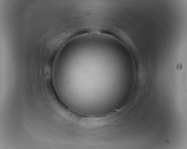 X0000112970025200908271153