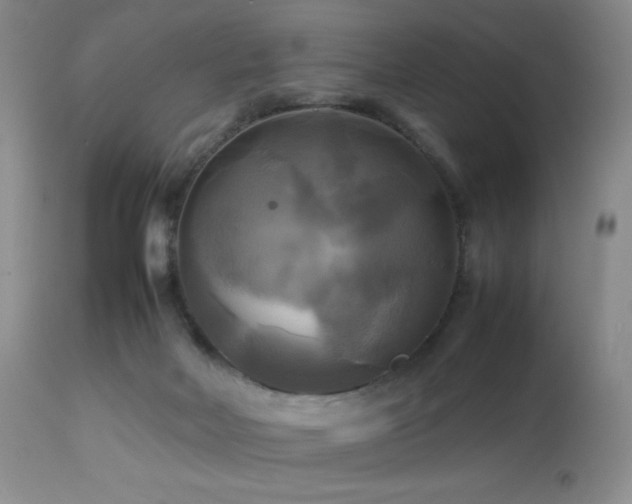 X0000112970026200908271153