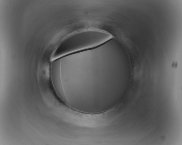 X0000112970027200908271153