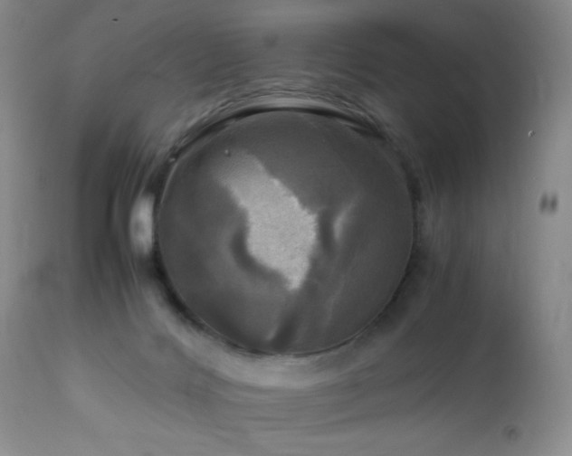 X0000112970028200908271153