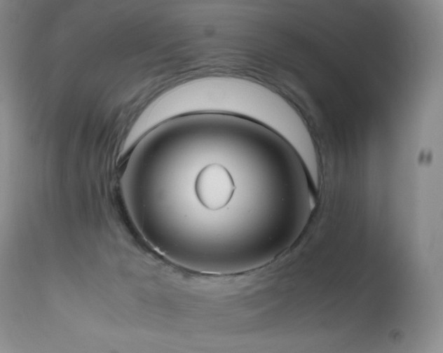 X0000112970029200908271153