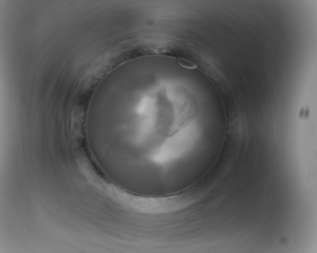 X0000112970030200908271153