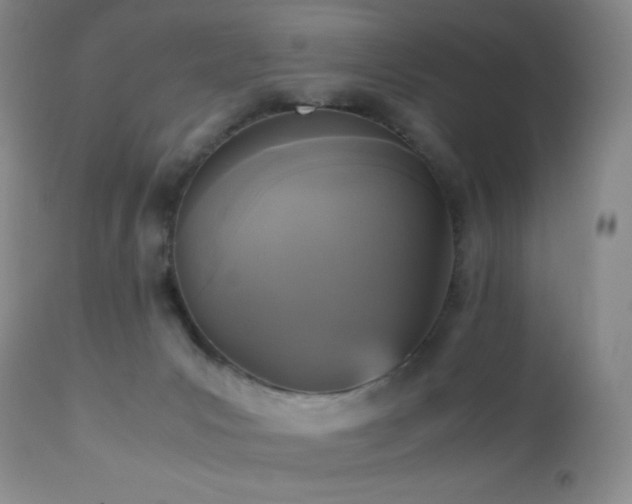 X0000112970031200908271153