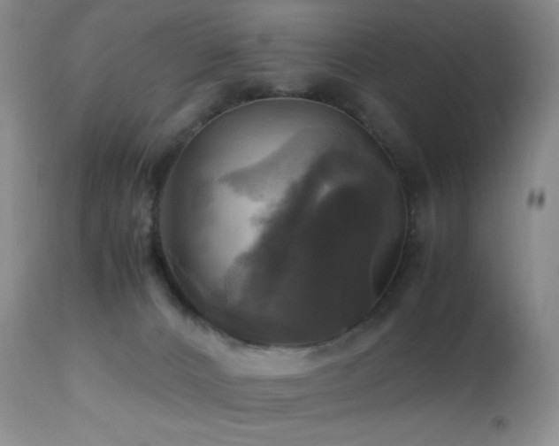 X0000112970032200908271153