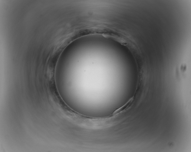 X0000112970033200908271153