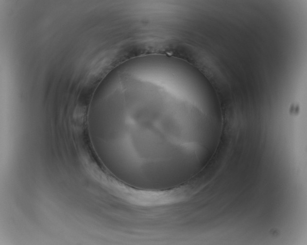 X0000112970034200908271153