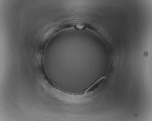 X0000112970035200908271153