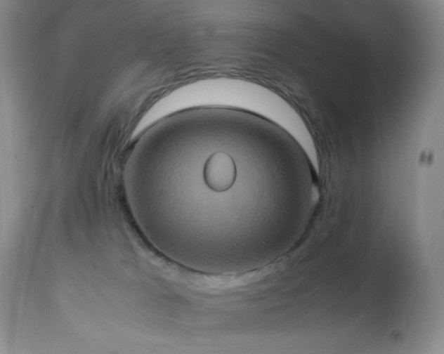 X0000112970037200908271153