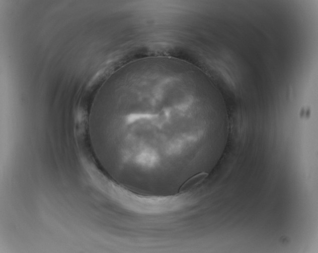 X0000112970038200908271153